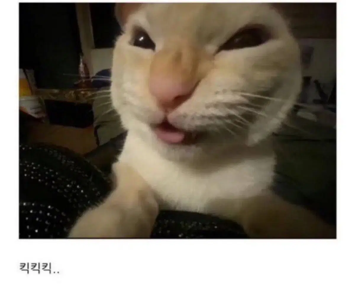 카드지갑 거래